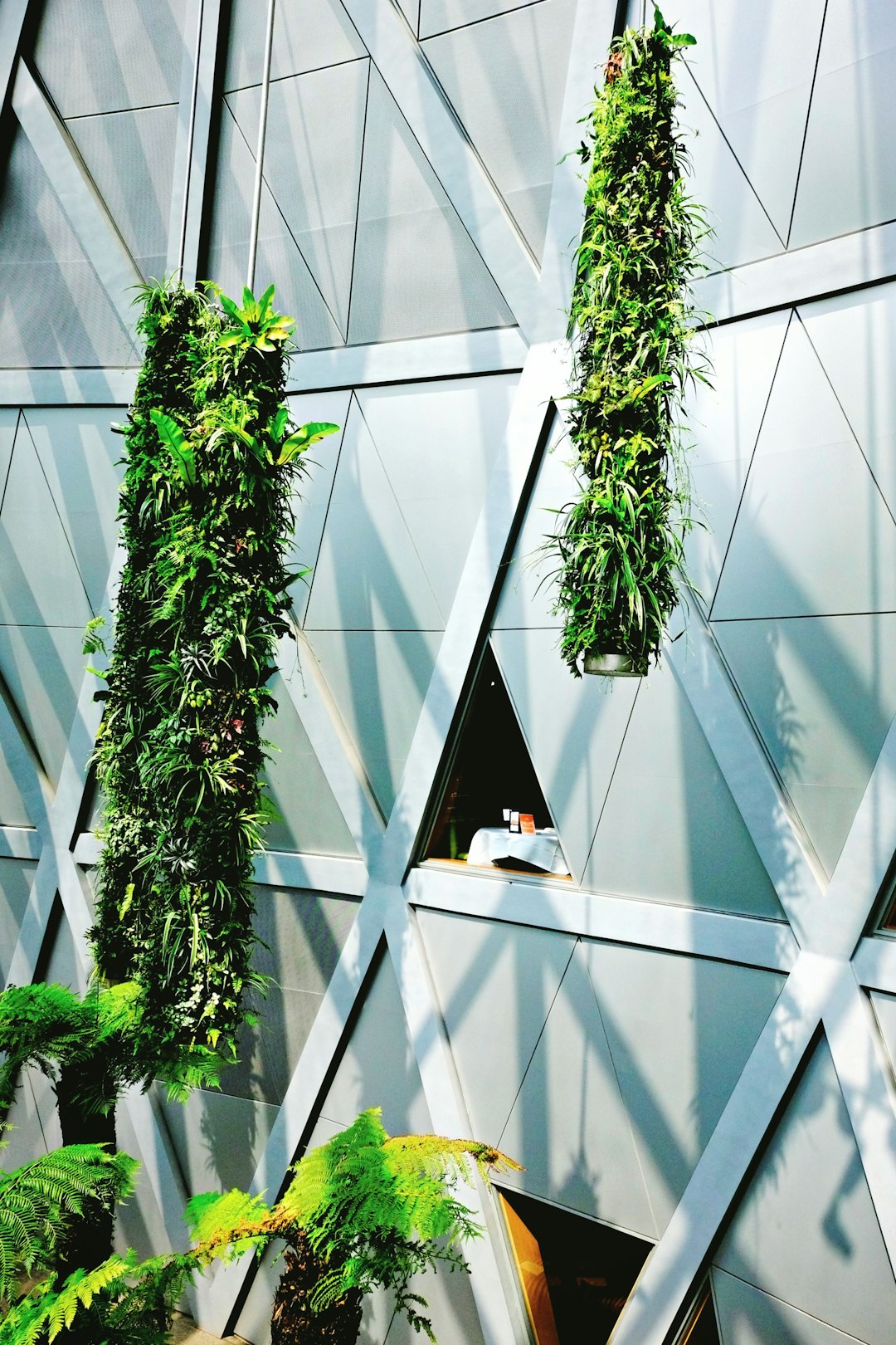 Net-Zero Energy Home