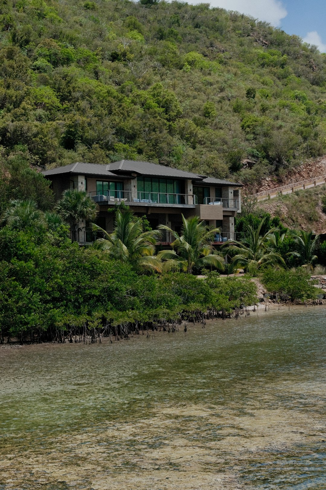 Forest Hill Luxury Home